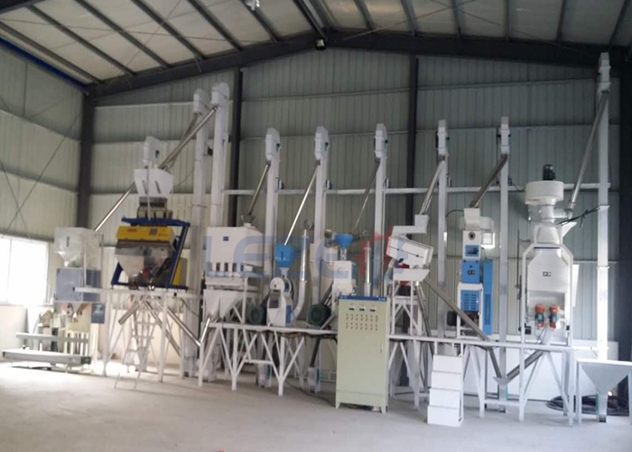 50-60tpd rice milling plant